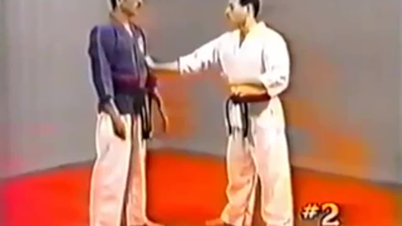 Combat Hapkido 3