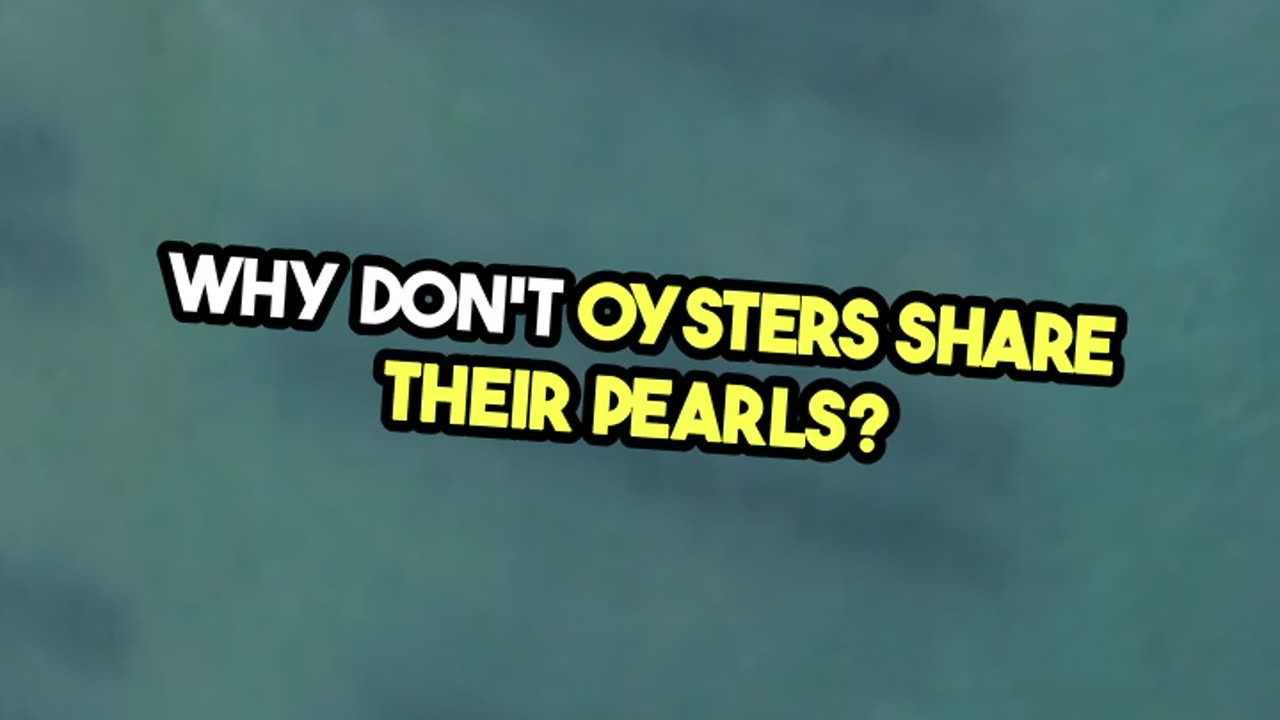 Why Do Oysters Keep Secrets