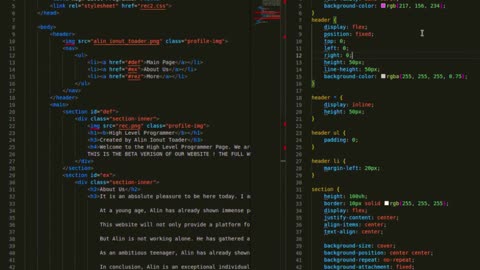 Just Built a Personal Website Using Only HTML and CSS | BETA