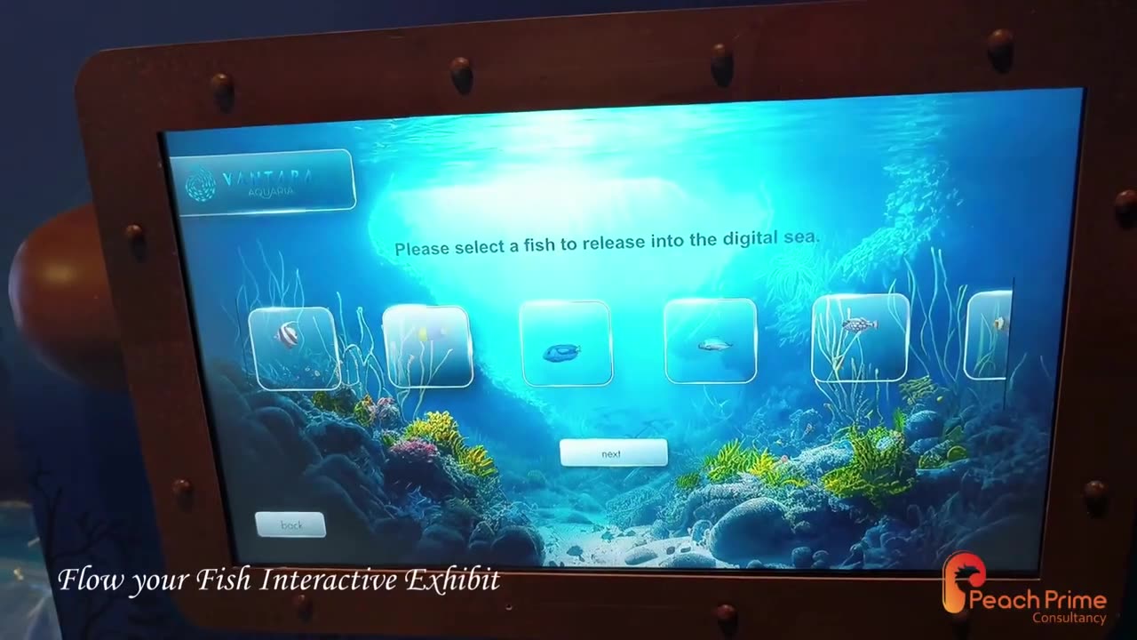 Flow Your Fish Interactive Exhibit