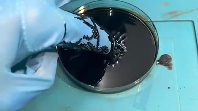 Liquid of magnet