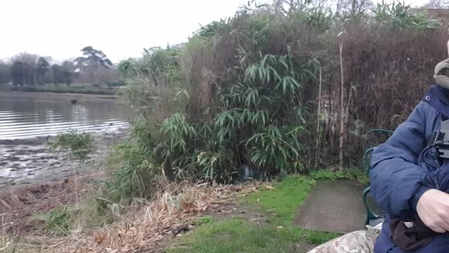 a little vlog while making a coffee. riverside