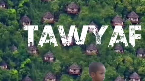 Tawyaf