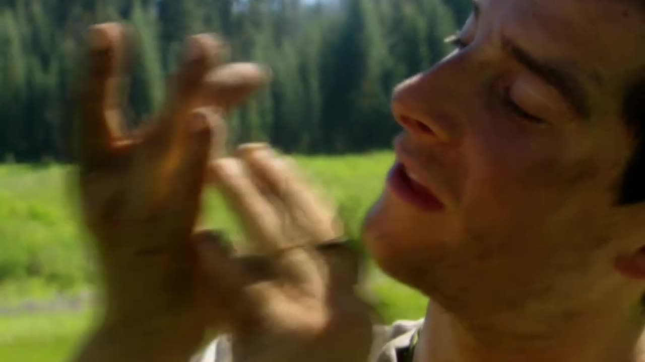 BEAR GRYLLS @action in forest danger