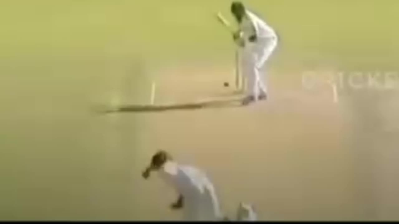 Shoaib Akhtar is the best player of Pakistan cricket team