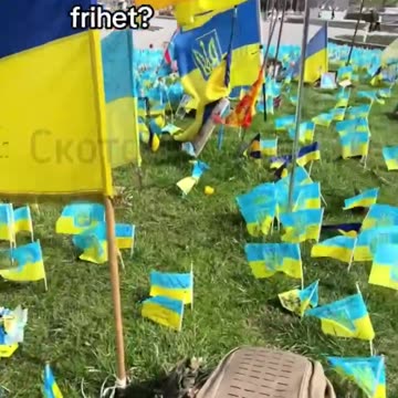 Swedes who died for the senseless NATO War in Ukraine