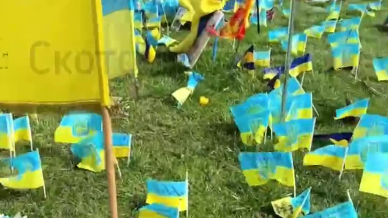 Swedes who died for the senseless NATO War in Ukraine