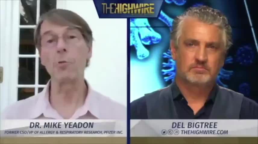 FORMER PFIZER VP, DR. MIKE YEADON - EVERYTHING WE HAVE BEEN TOLD ABOUT COVID-19 WAS A LIE