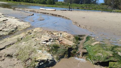 Natural bridges Wetlands