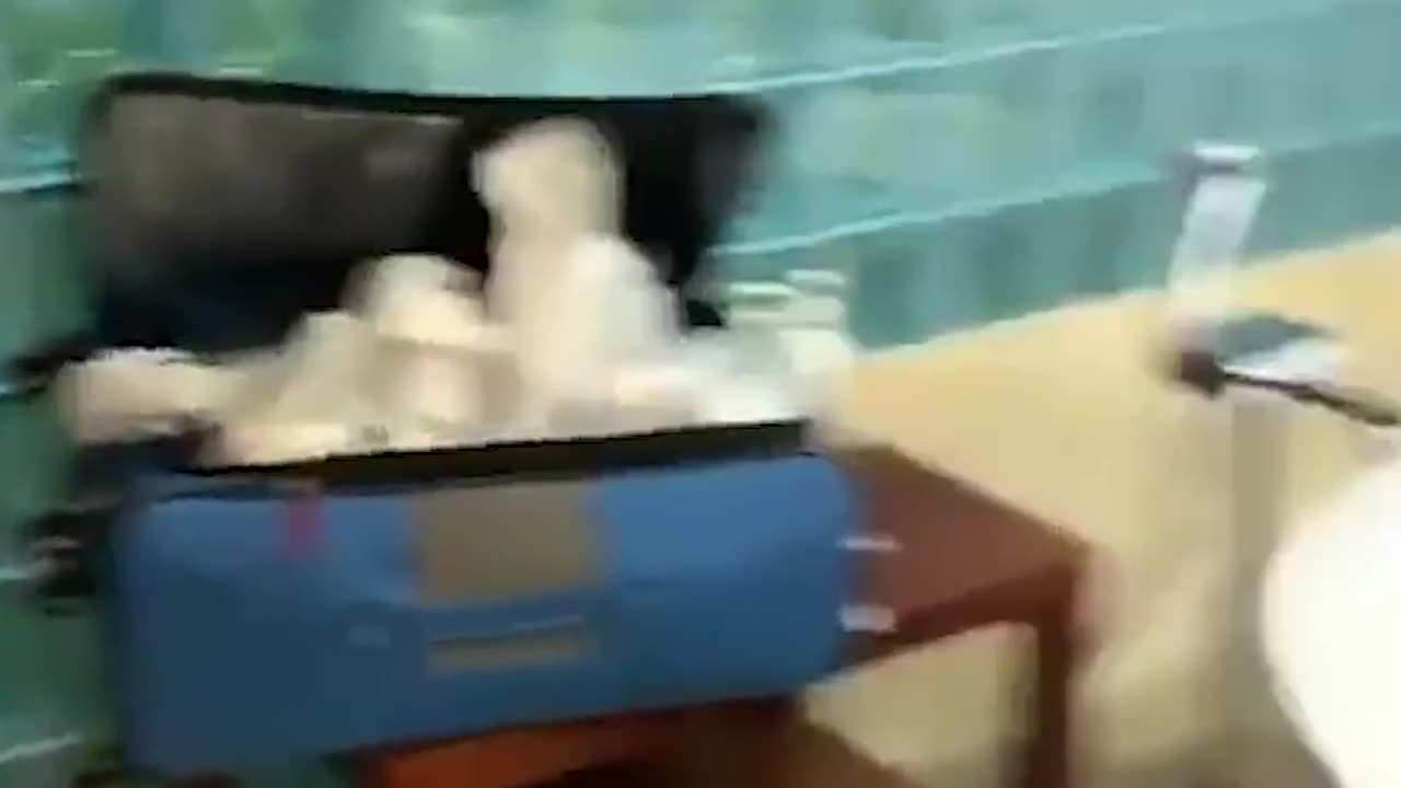 This Man Discovered Something Very Strange in his Hotel Room