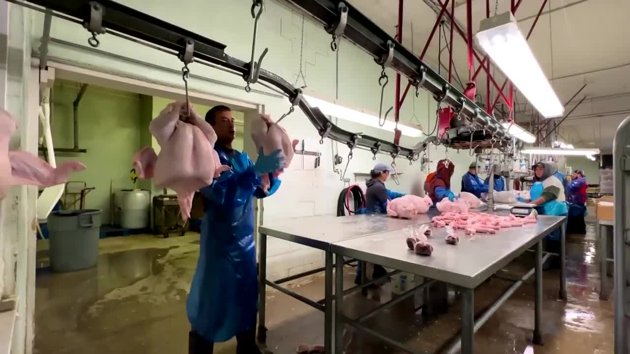 High prices slice into Thanksgiving turkey