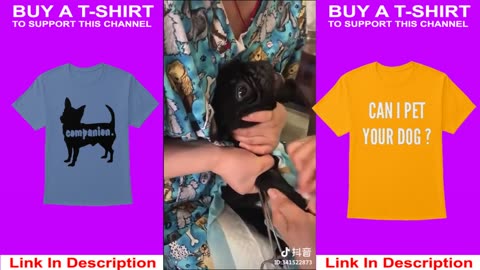 Funny animal videos.