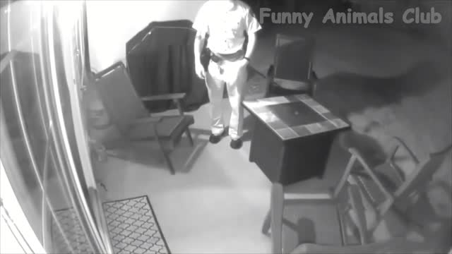 Funny video
