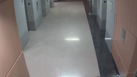 8488OHOB01ElevatorLobby_2021-01-05_01h20min00s667ms.mp4