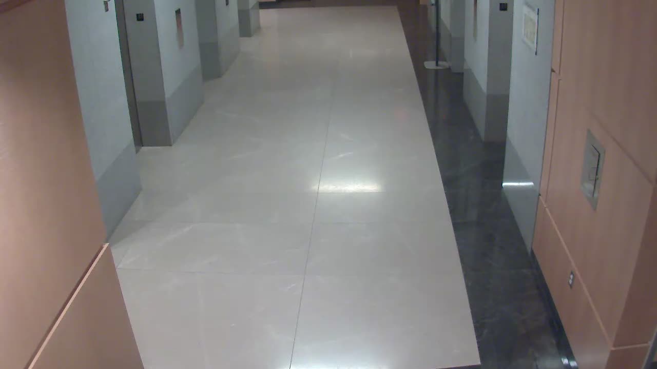 8488OHOB01ElevatorLobby_2021-01-05_01h20min00s667ms.mp4