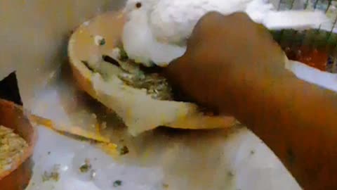 Dove lay eggs 🥚