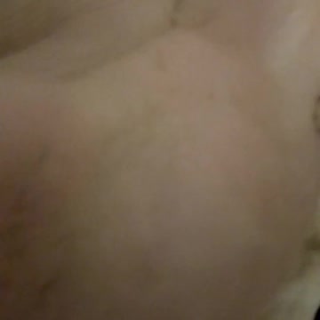 Copito kitten mannequin contest