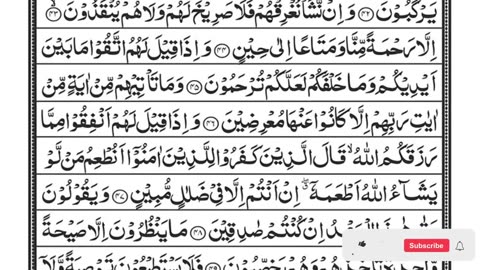 QSurah Yaseen | Yasin | Episode 590 | Daily Quran Tilawat Surah Yasin Surah