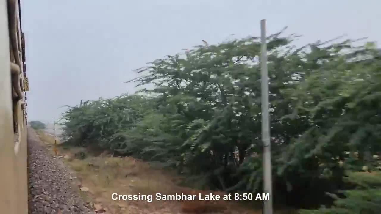 SAMBHAR LAKE-RAJASTAN