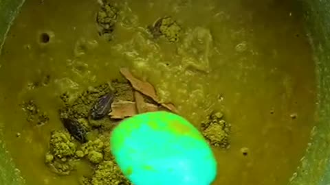 TikTokfood#viral#view#cookingrecipe#lahorichannay1