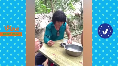 Funny videos 2024