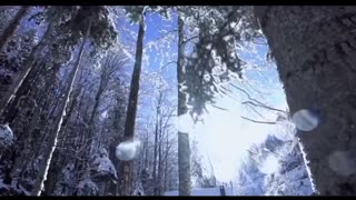 YOU CHOSE TO BE HERE ...EMBRACE #TBIYTC #WWG1WGA