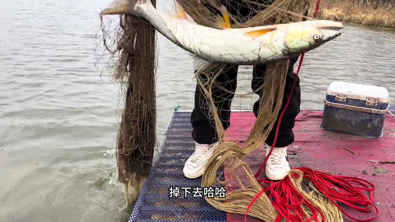 How to Catch Fish from Net