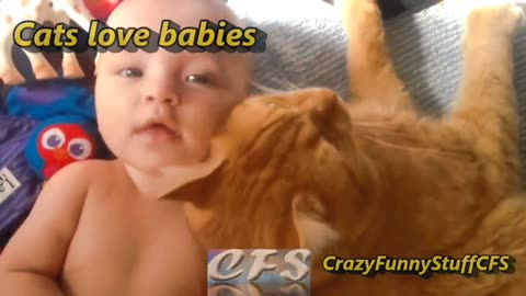 Cats Love Babies