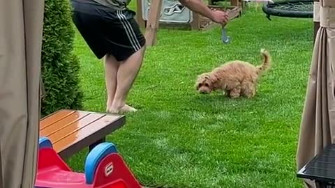 Dads with the dog they didn’t want 🙄