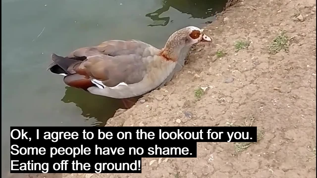 Some People Have No Shame!