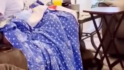 Funny animals || funniest cat&dog videos🐶🦴