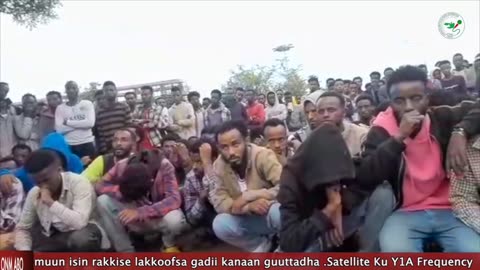 ONM-ABO Sadaasa 22-2024 Hiriira Sagalee Uummata Oromoof Ta'uuf