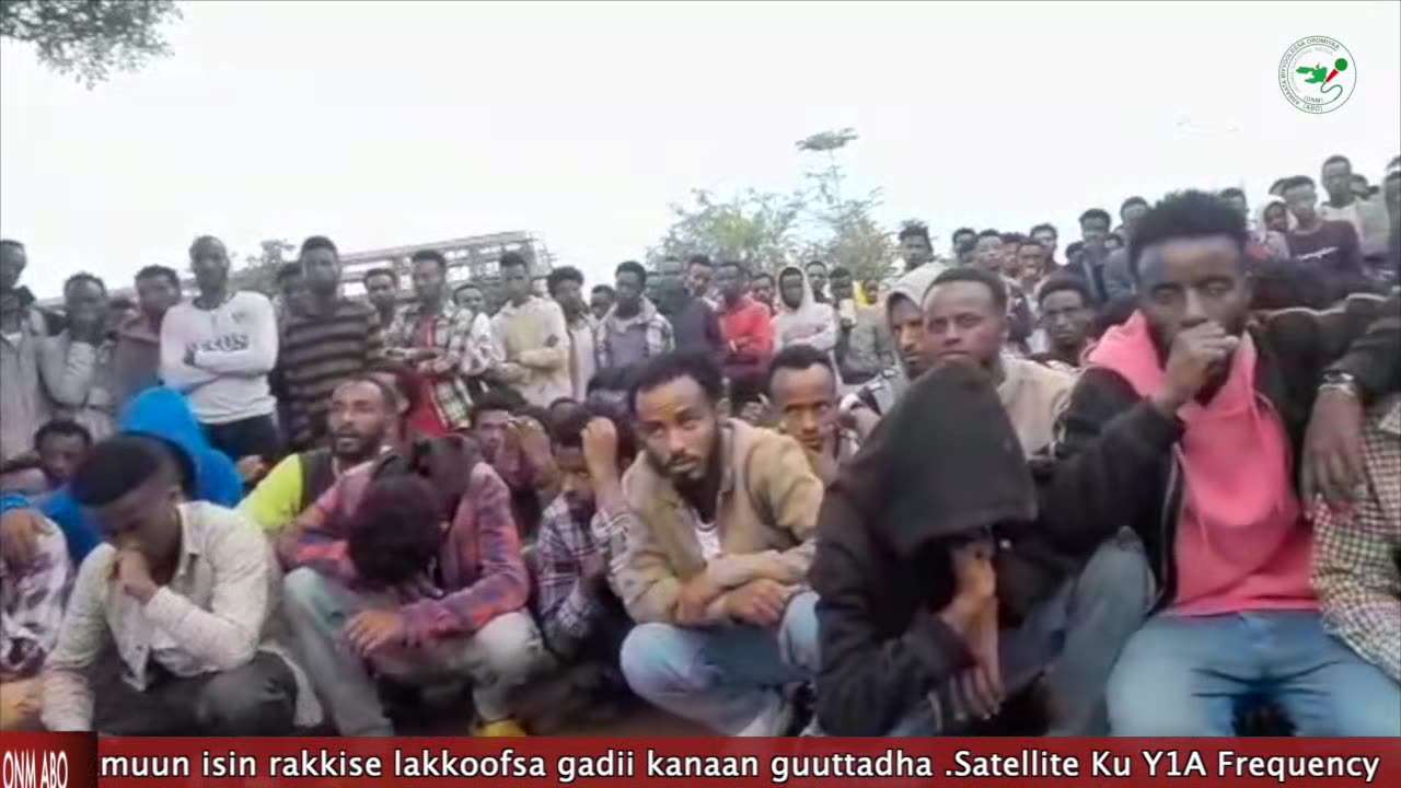 ONM-ABO Sadaasa 22-2024 Hiriira Sagalee Uummata Oromoof Ta'uuf