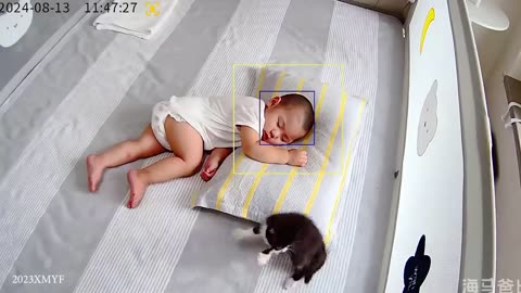 When your cat is the best babysitter Cute cats and little human