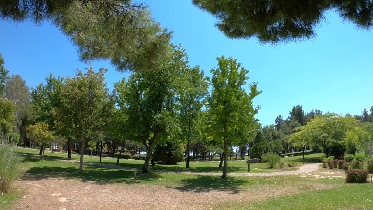~🏞 Park views