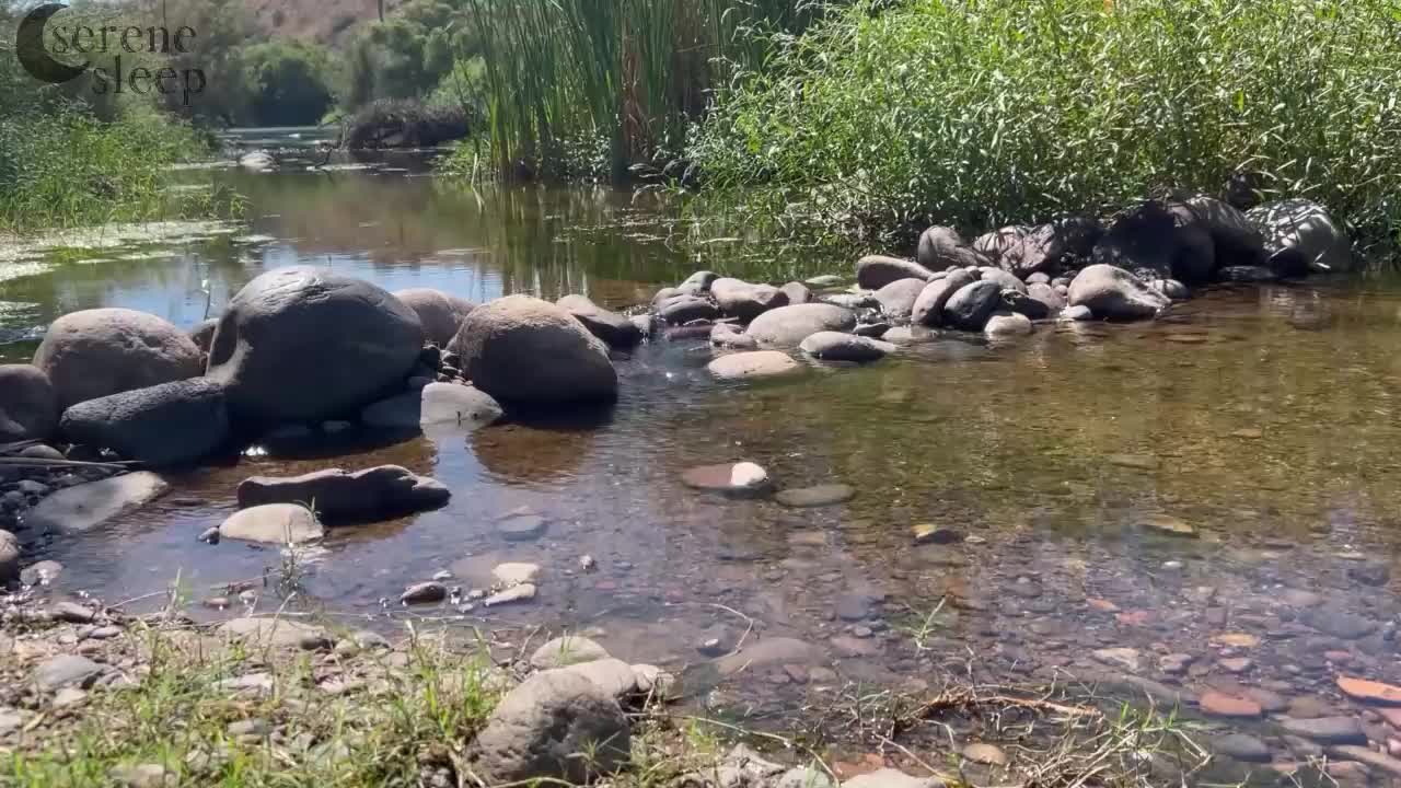 Sleepy Babbling Brook