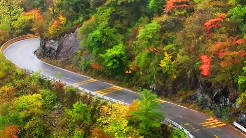 Take a picture of autumn to see how beautiful it is in Shennongjia