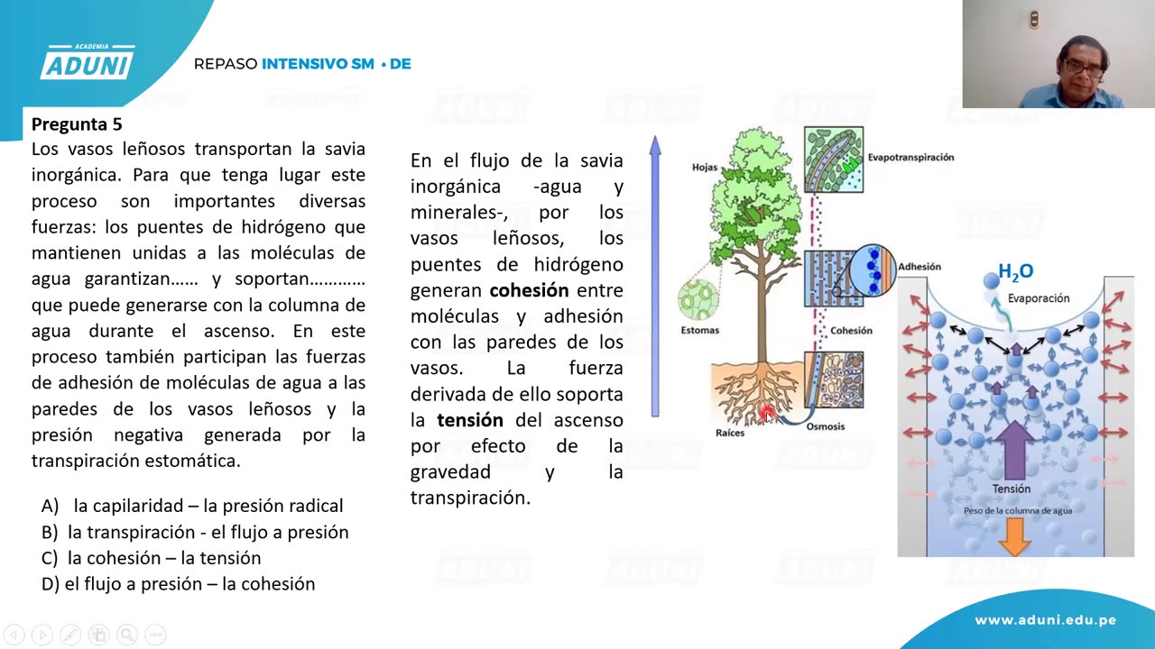 REPASO INTENSIVO ADUNI 2021 | Semana 04 | Biología