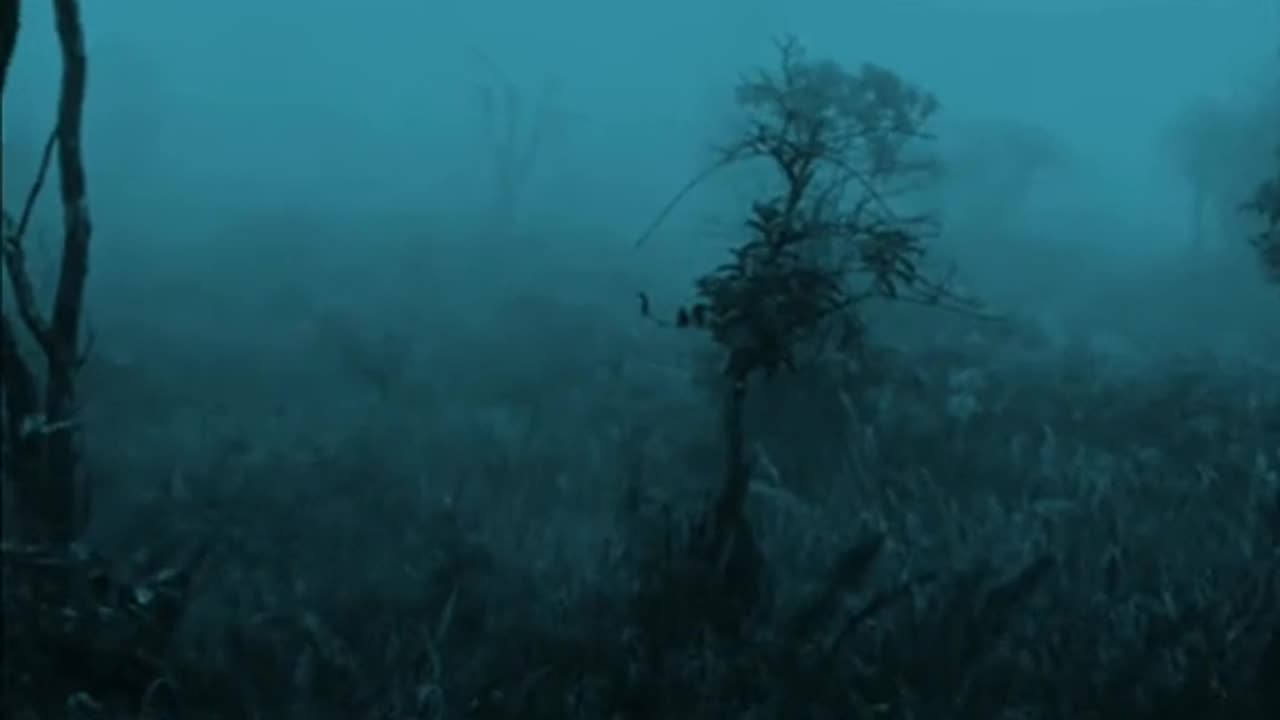 Moment natural view relax music video by rumble cool video