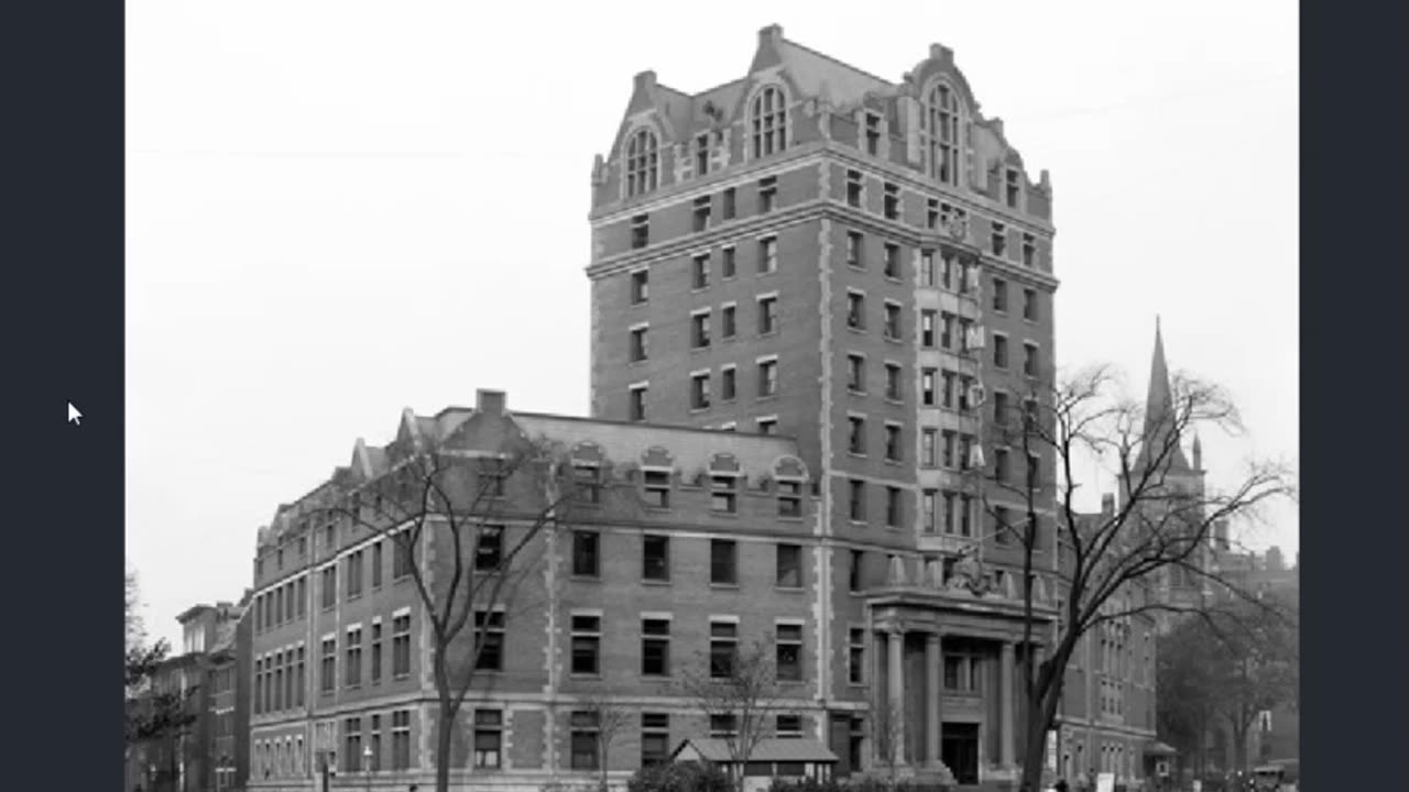 OldWorldExploration - Old World Buffalo