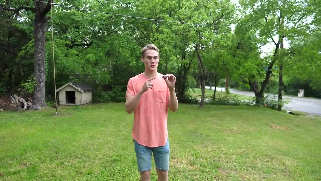 Baby Snapping Turtle vs Crayfish-1