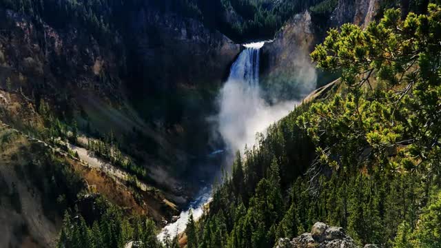 Yellowstone Falls