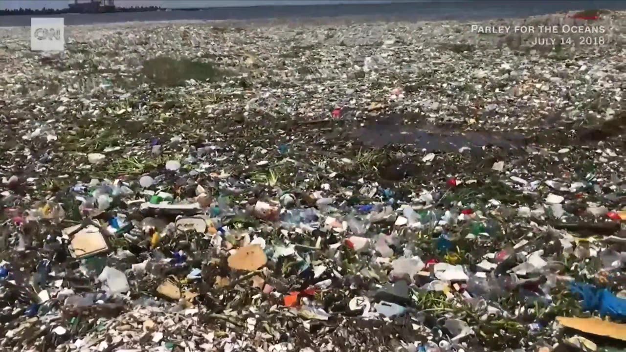 Steve Andrews with Where Did All The Plastic Go - #Ten10ForChange Ep 1