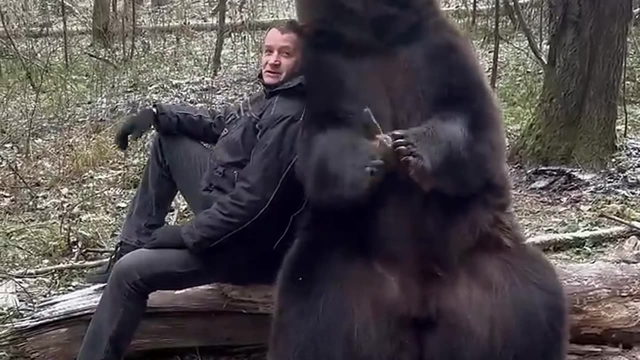 Russian man taking photo with a Grizzly Bear for Passport Profile