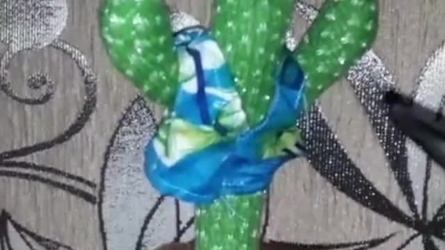 Dog Competes in a Dance off With Cactus Toy