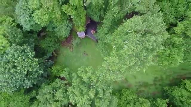 Living-Room Treehouse