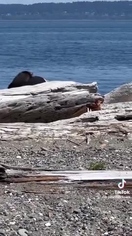 Meet your part time Starbucks barista