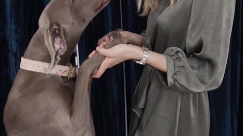 A Woman Happily Dancing With Her Dog