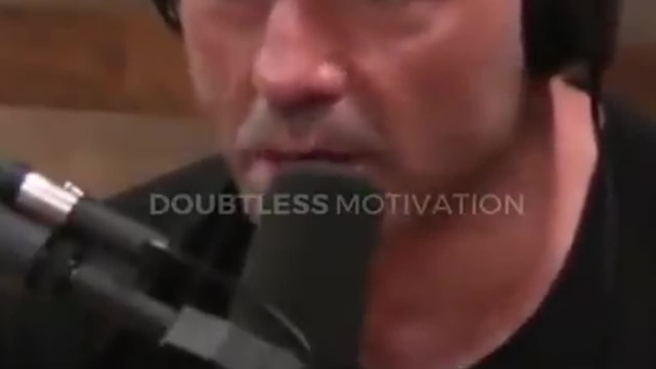 _It's Fu_king, it's DUMB!!_ - Joe Rogan