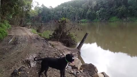 2.4.2024 Barron River Esplanade, Kuranda